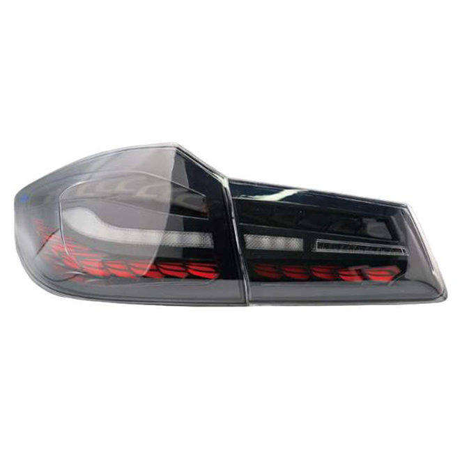 For BMW 5 Series 2018-2020 G30/G38 Dual Dragon Scale Tail Light Modification